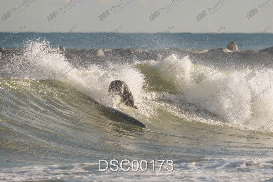 DSC00173.jpg
