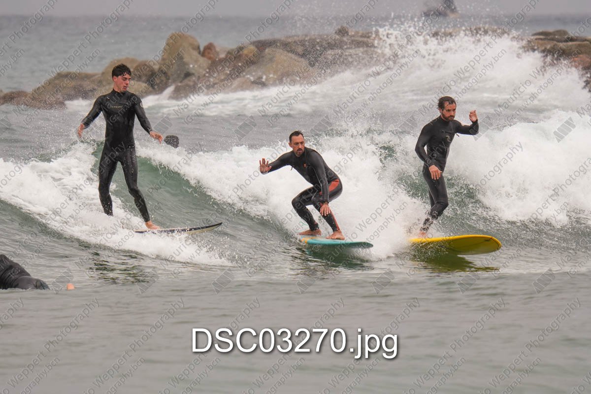 DSC03270.jpg