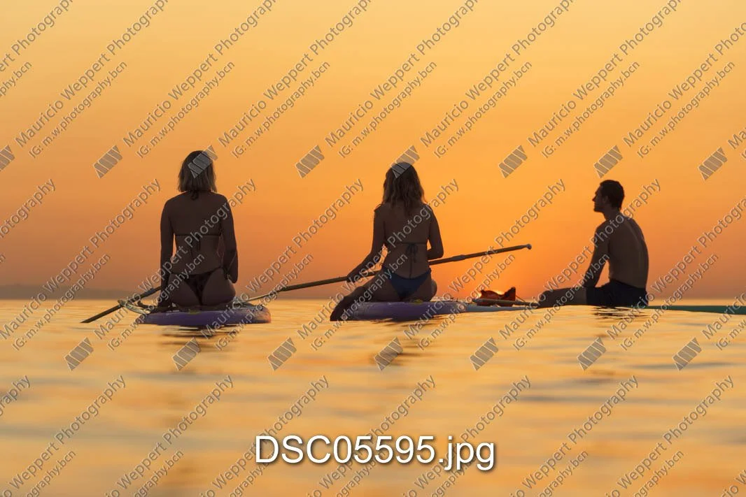 DSC05595.jpg