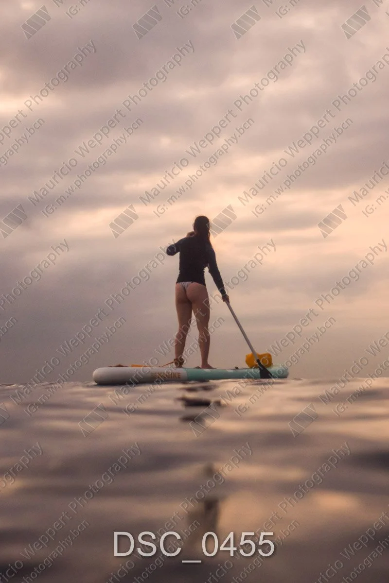 DSC_0455.jpg