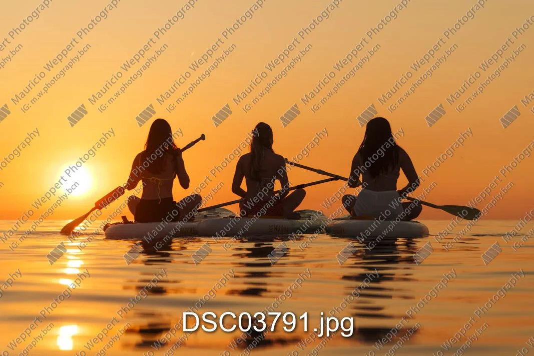 DSC03791.jpg