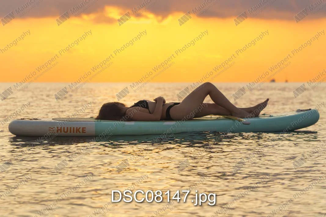 DSC08147.jpg