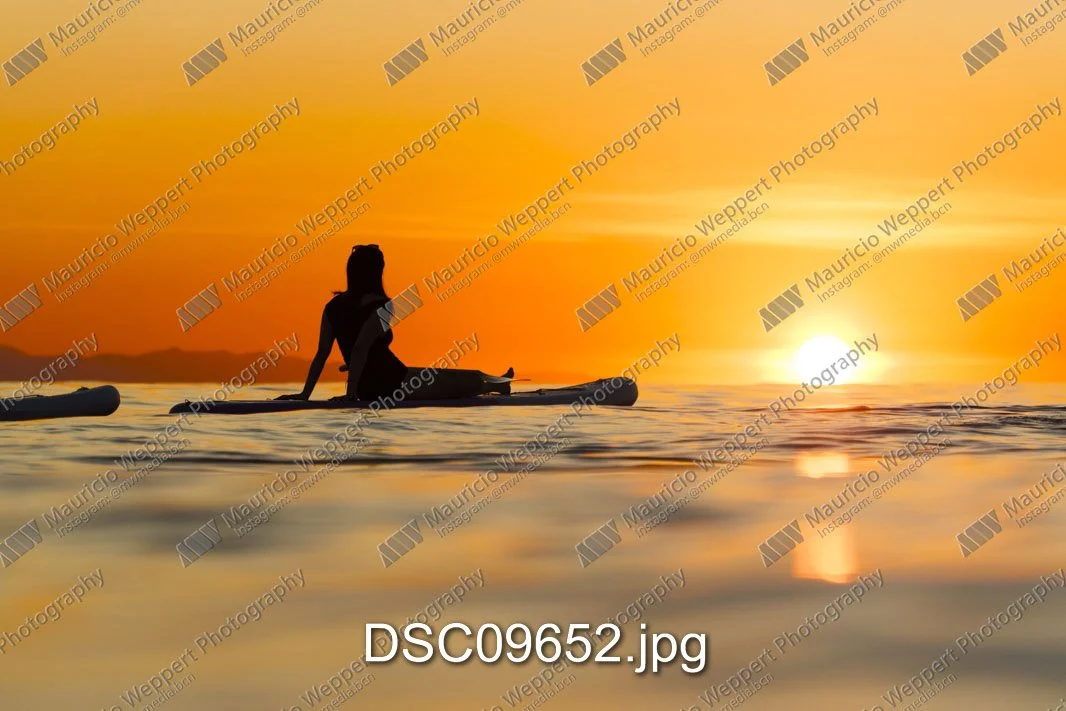 DSC09652.jpg