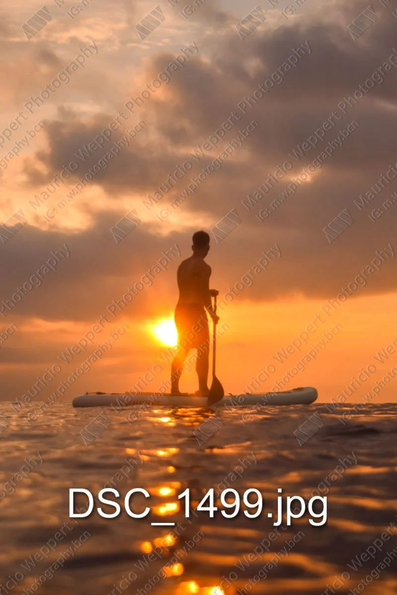 DSC_1499.jpg