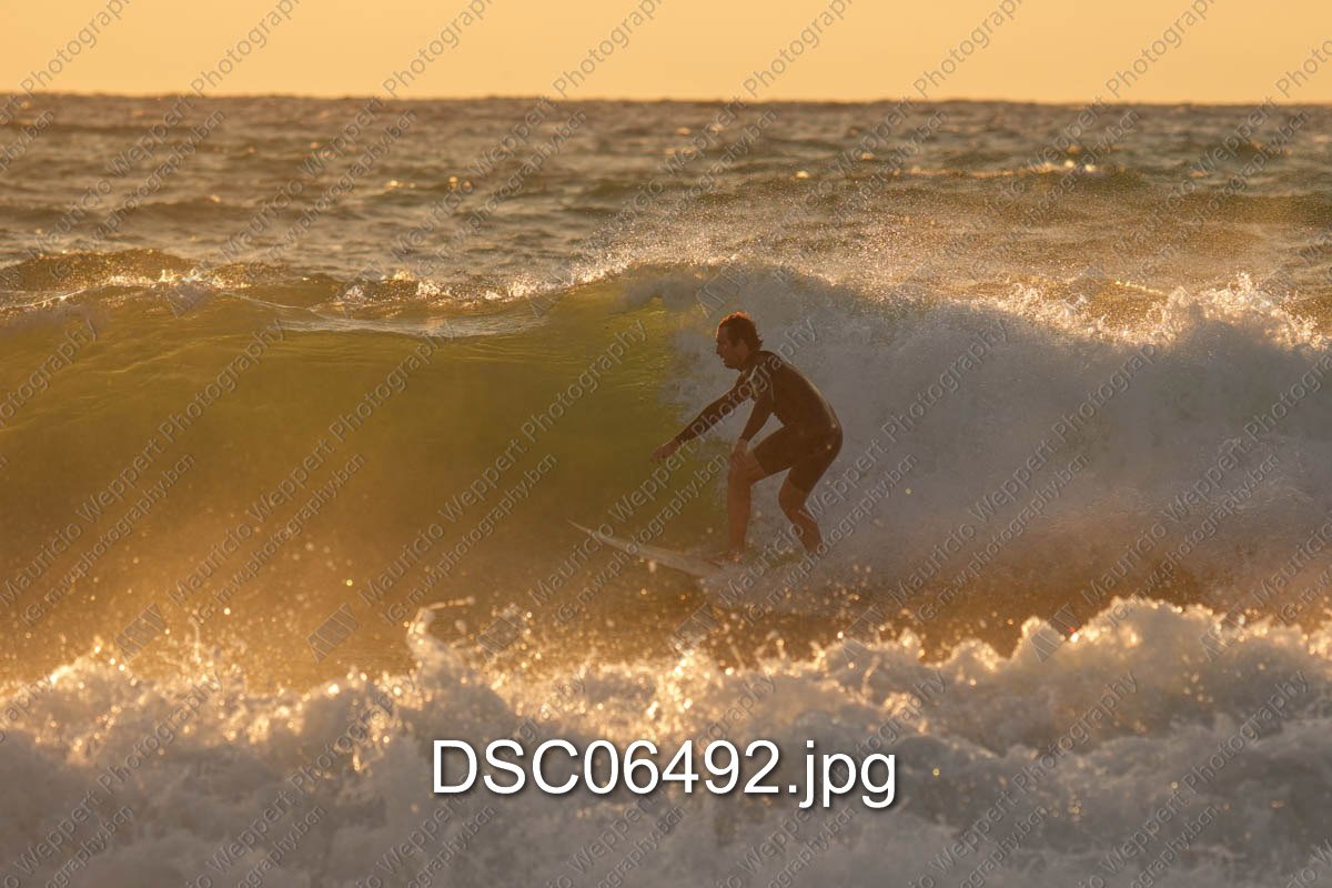 DSC06492.jpg