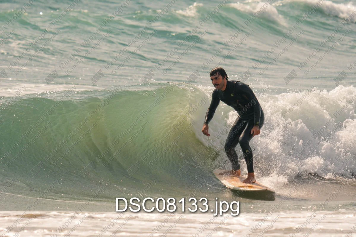DSC08133.jpg