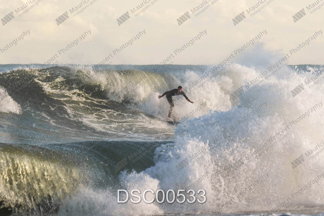 DSC00533.jpg
