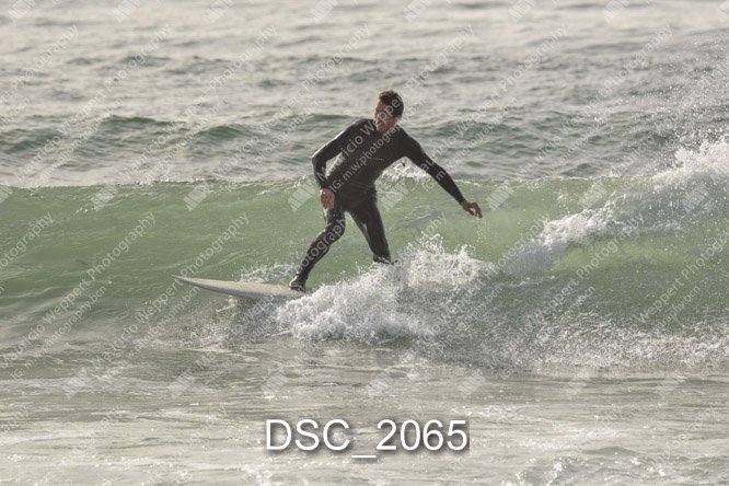 DSC_2065.jpg