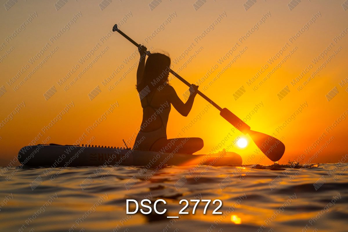 DSC_2772.jpg