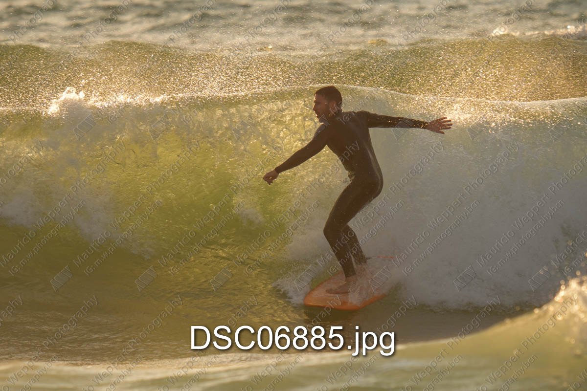 DSC06885.jpg