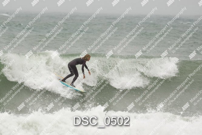 DSC_0502.jpg