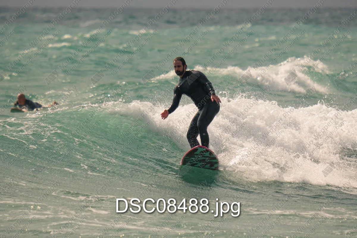 DSC08488.jpg