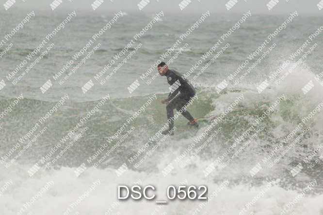 DSC_0562.jpg