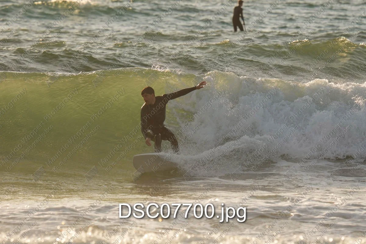 DSC07700.jpg