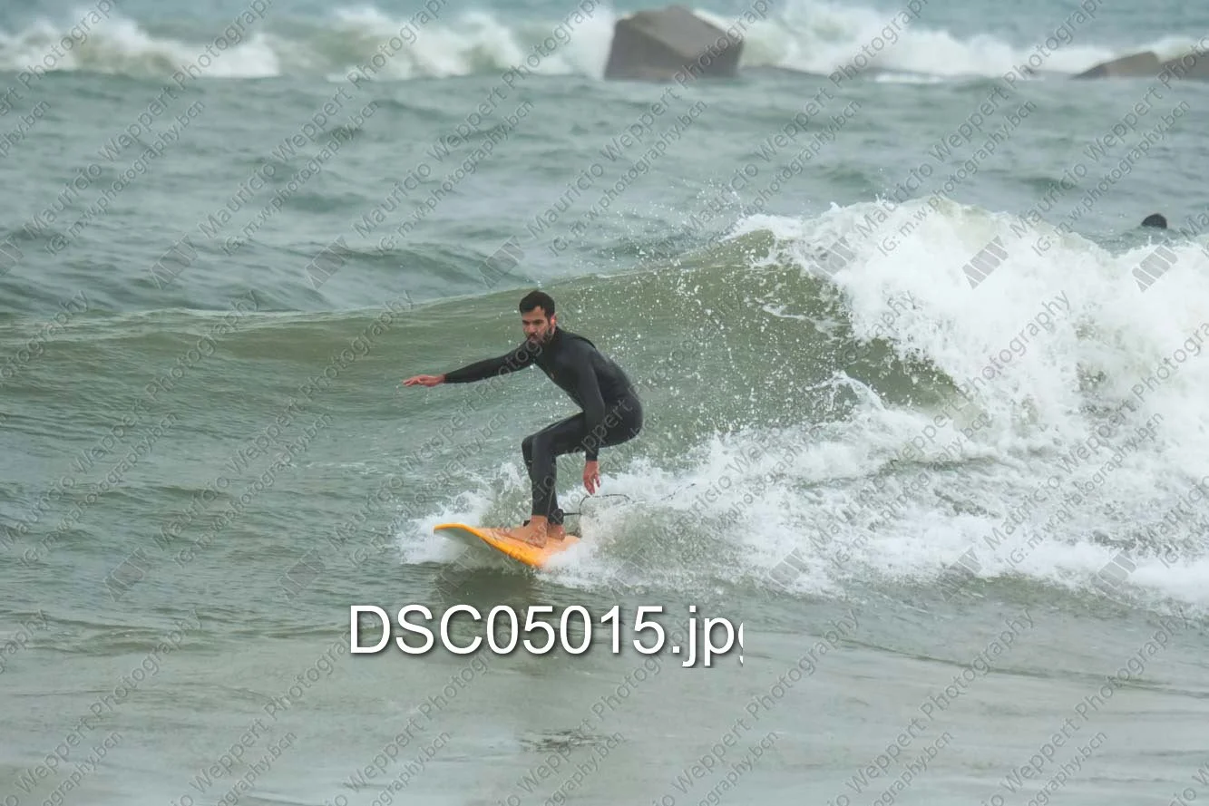 DSC05015.jpg