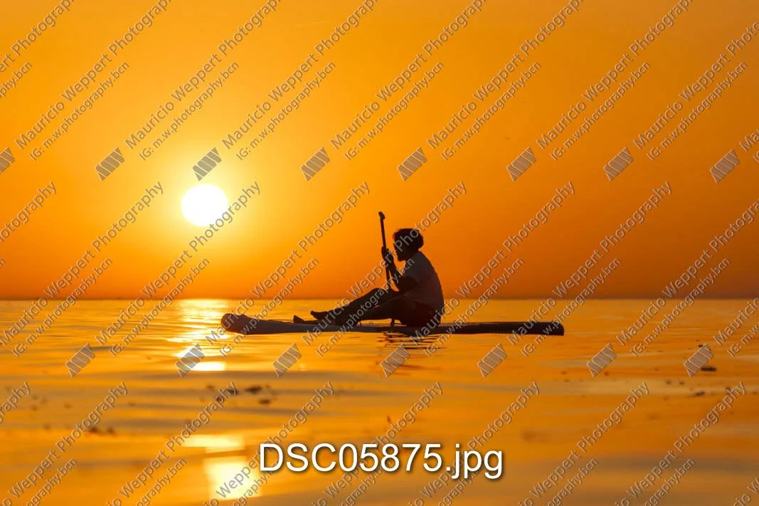 DSC05875.jpg