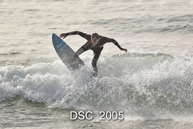 DSC_2005.jpg