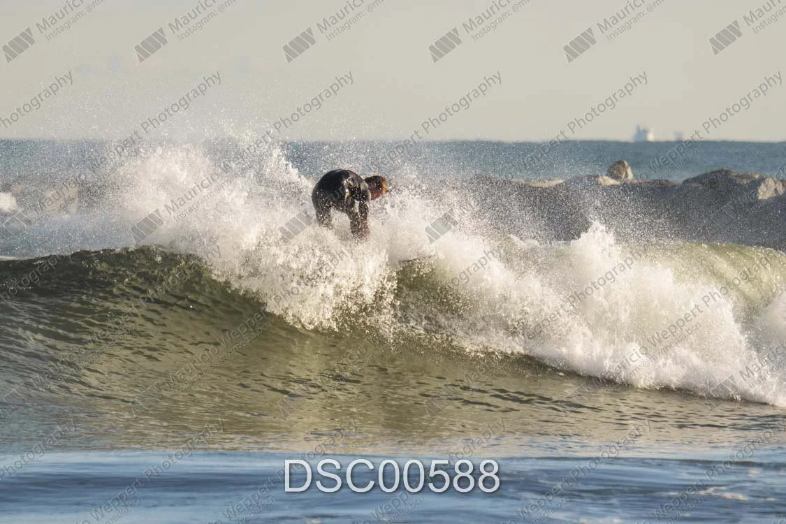 DSC00588.jpg