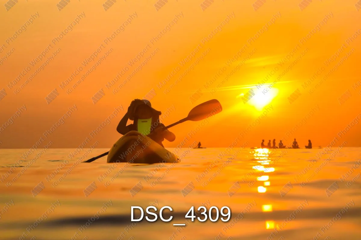 DSC_4309.jpg