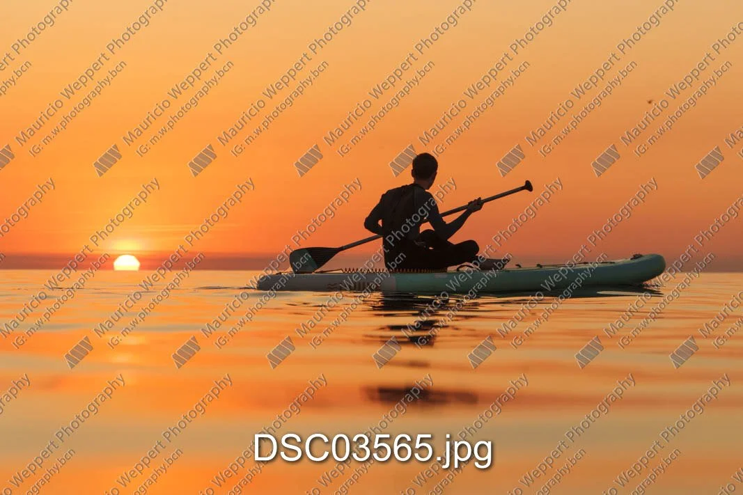 DSC03565.jpg