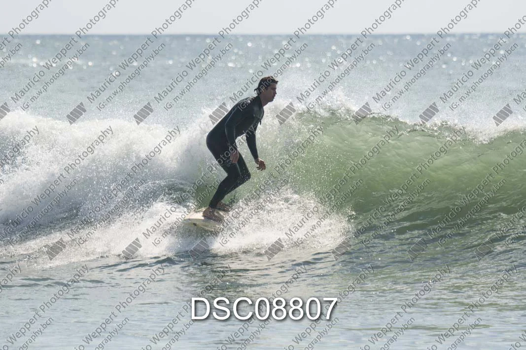 DSC08807.jpg
