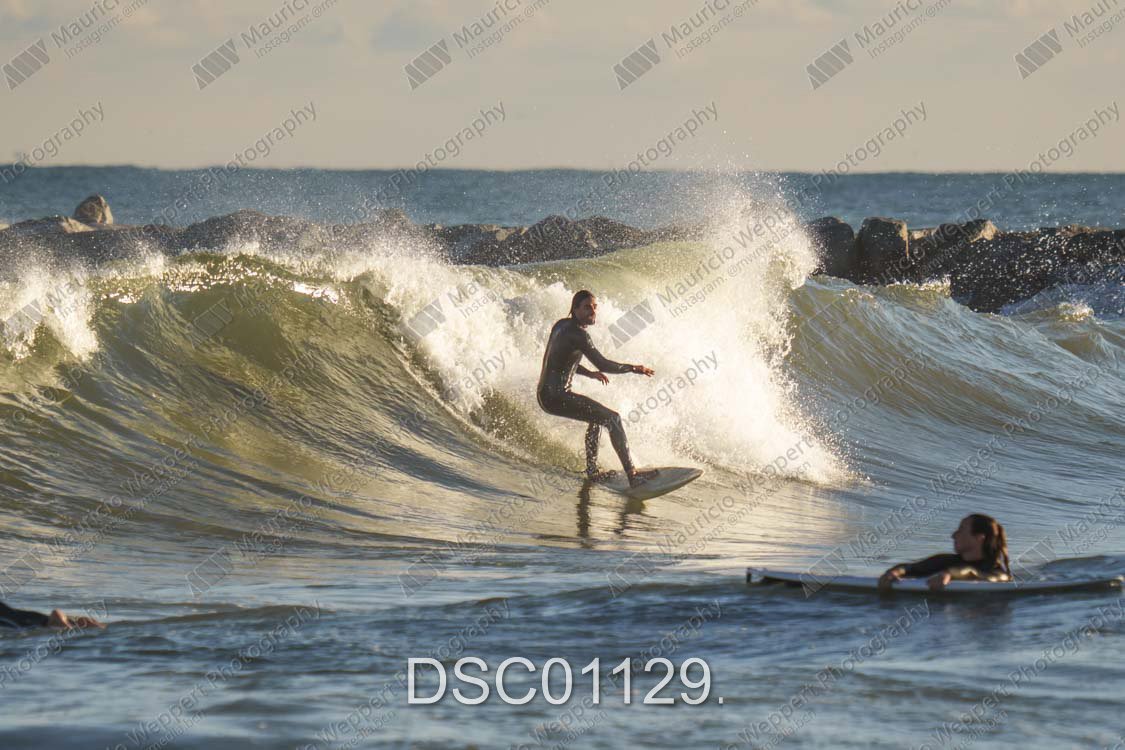 DSC01129.jpg