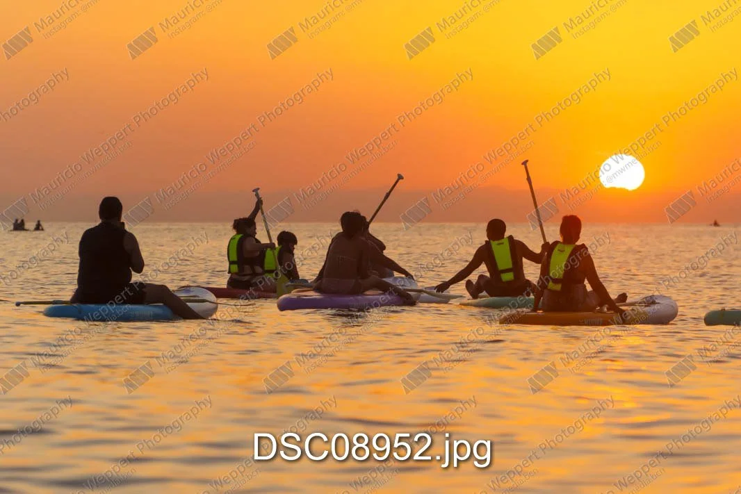 DSC08952.jpg