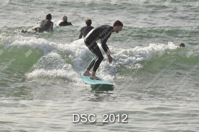 DSC_2012.jpg