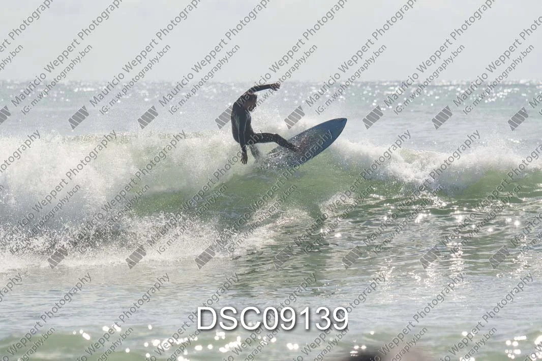 DSC09139.jpg
