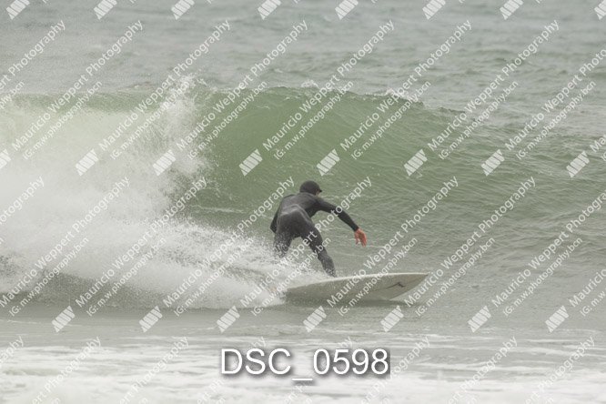 DSC_0598.jpg