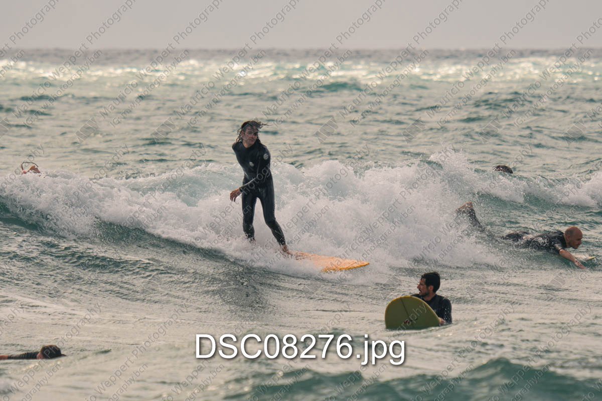 DSC08276.jpg