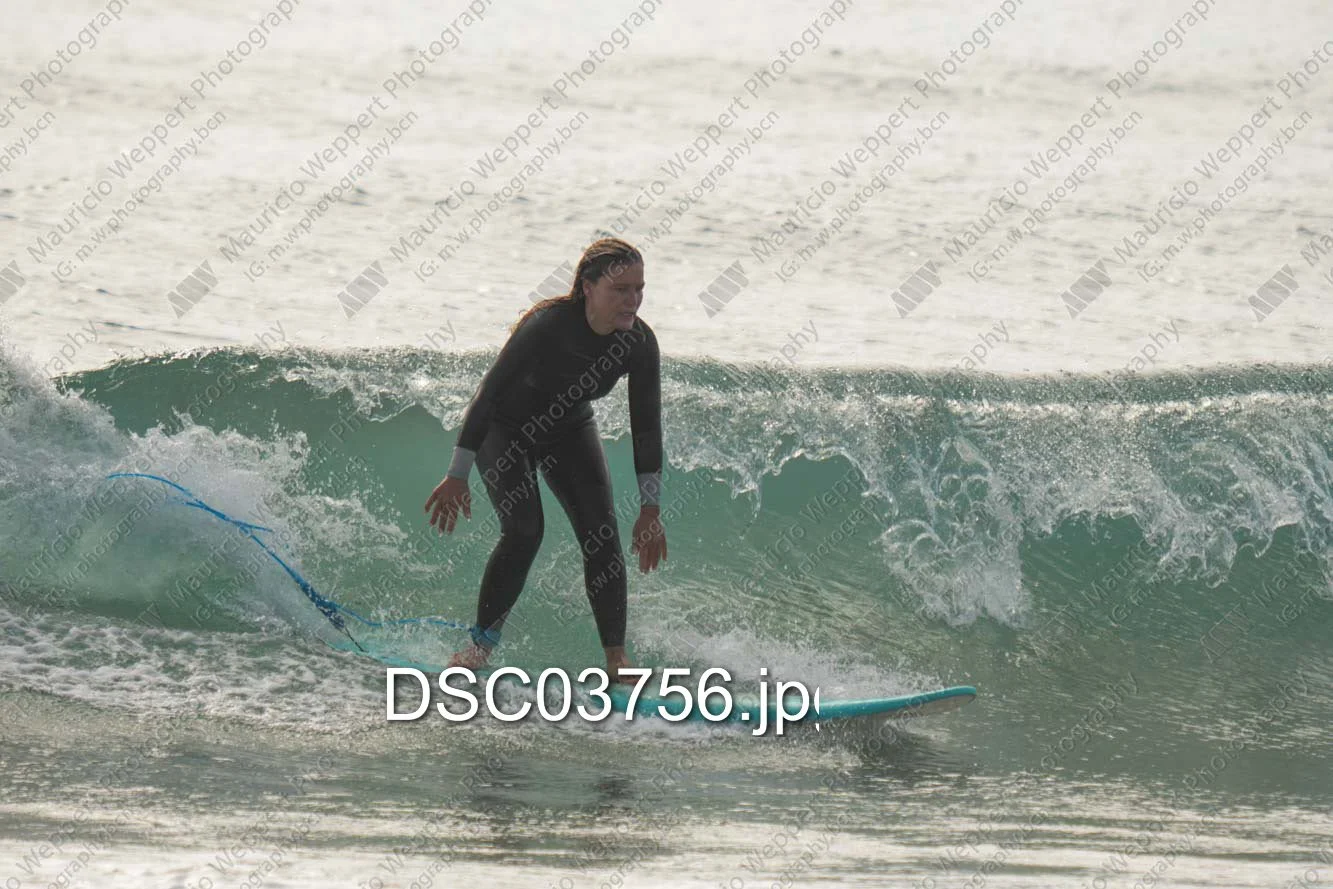 DSC03756.jpg