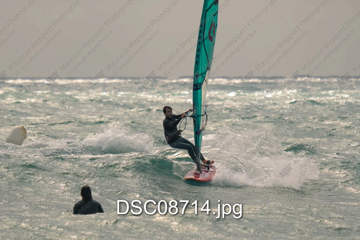 DSC08714.jpg