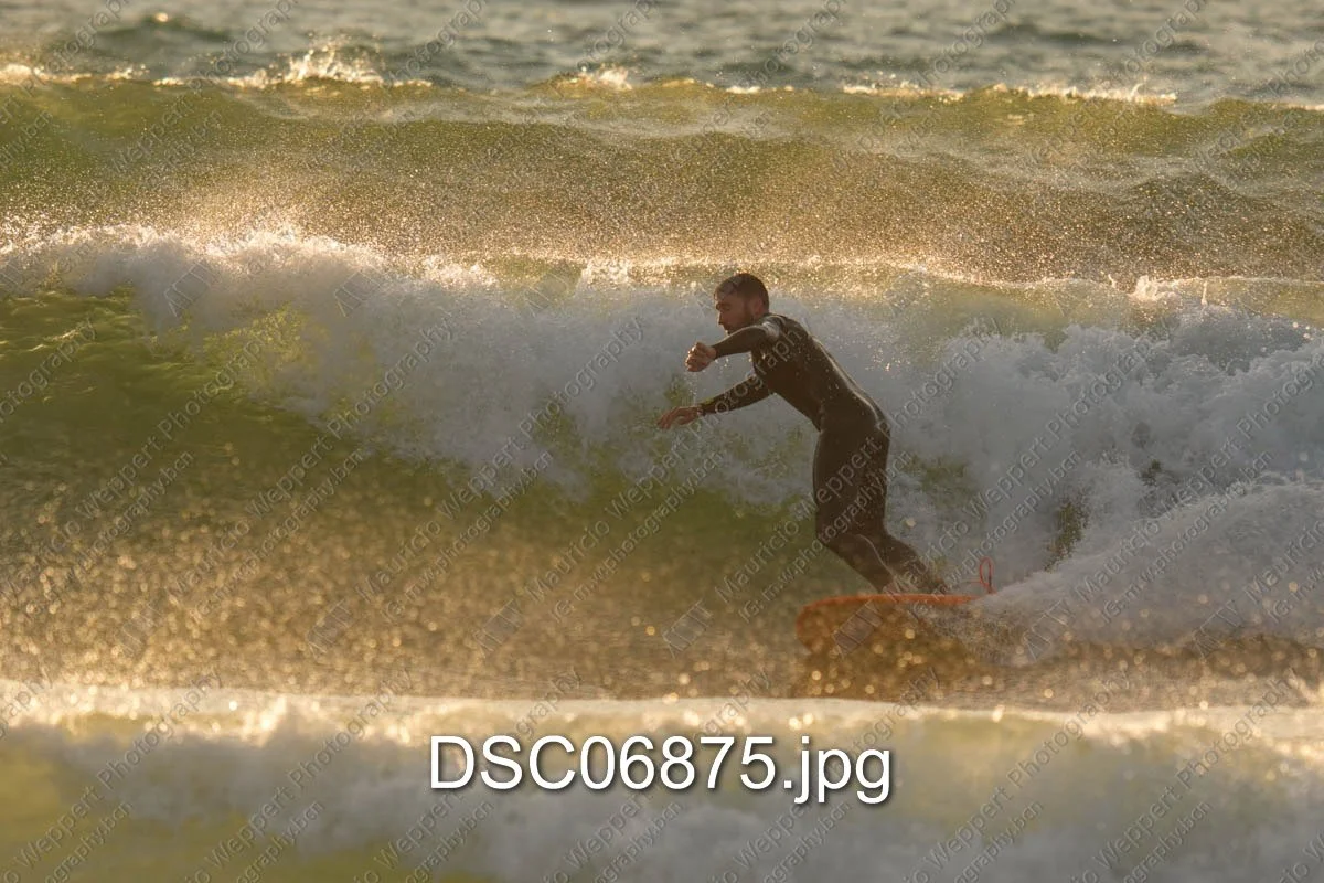 DSC06875.jpg