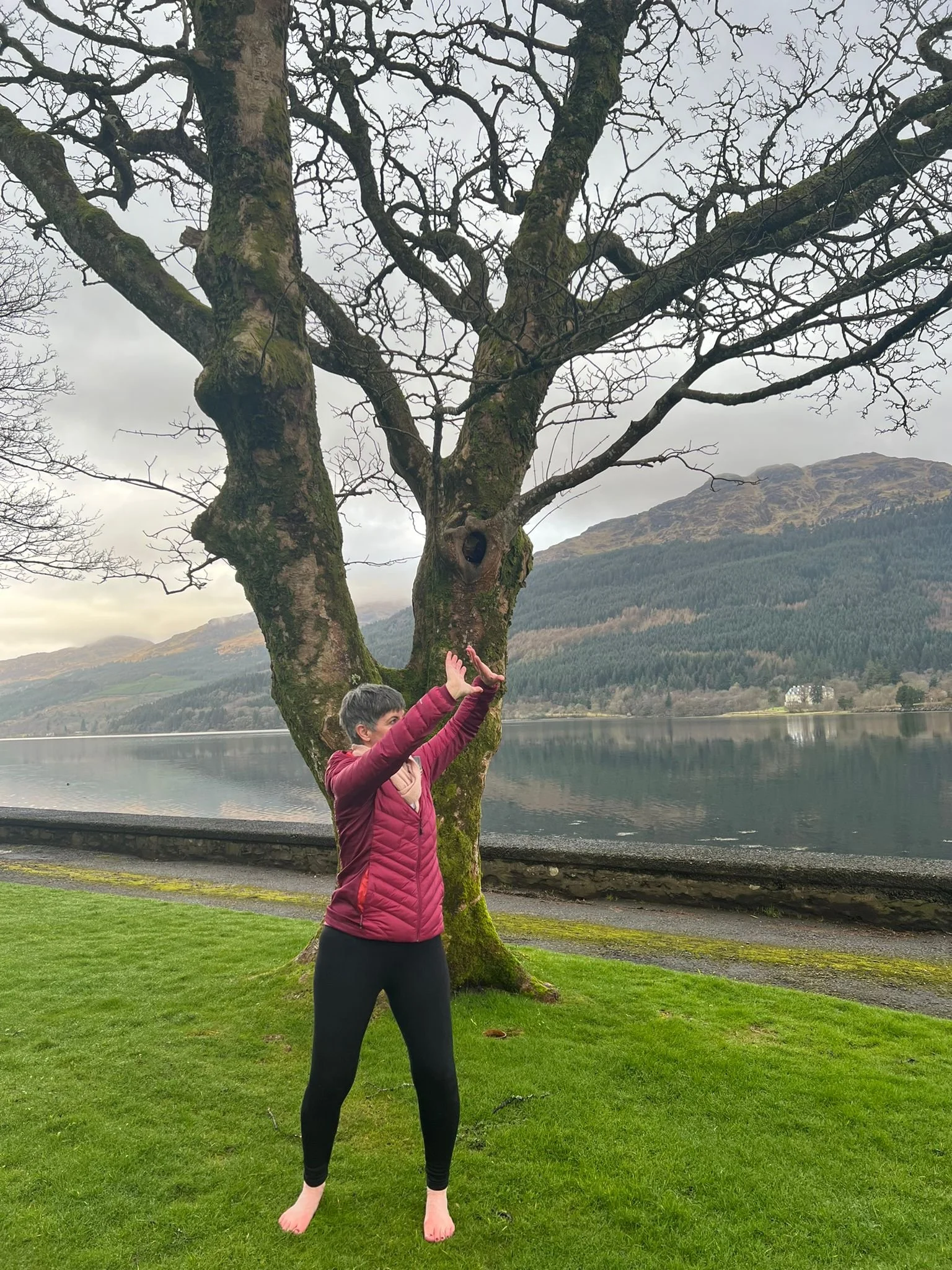 Person in a red jacket and black pants practicing tai chi outdoors near a large leafless tree with a lake and mountains in the background on a cloudy day.