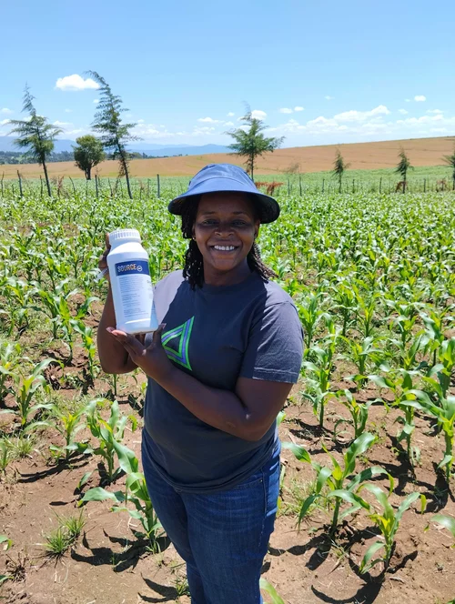 Apollo Agriculture