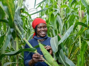 About us — Apollo Agriculture