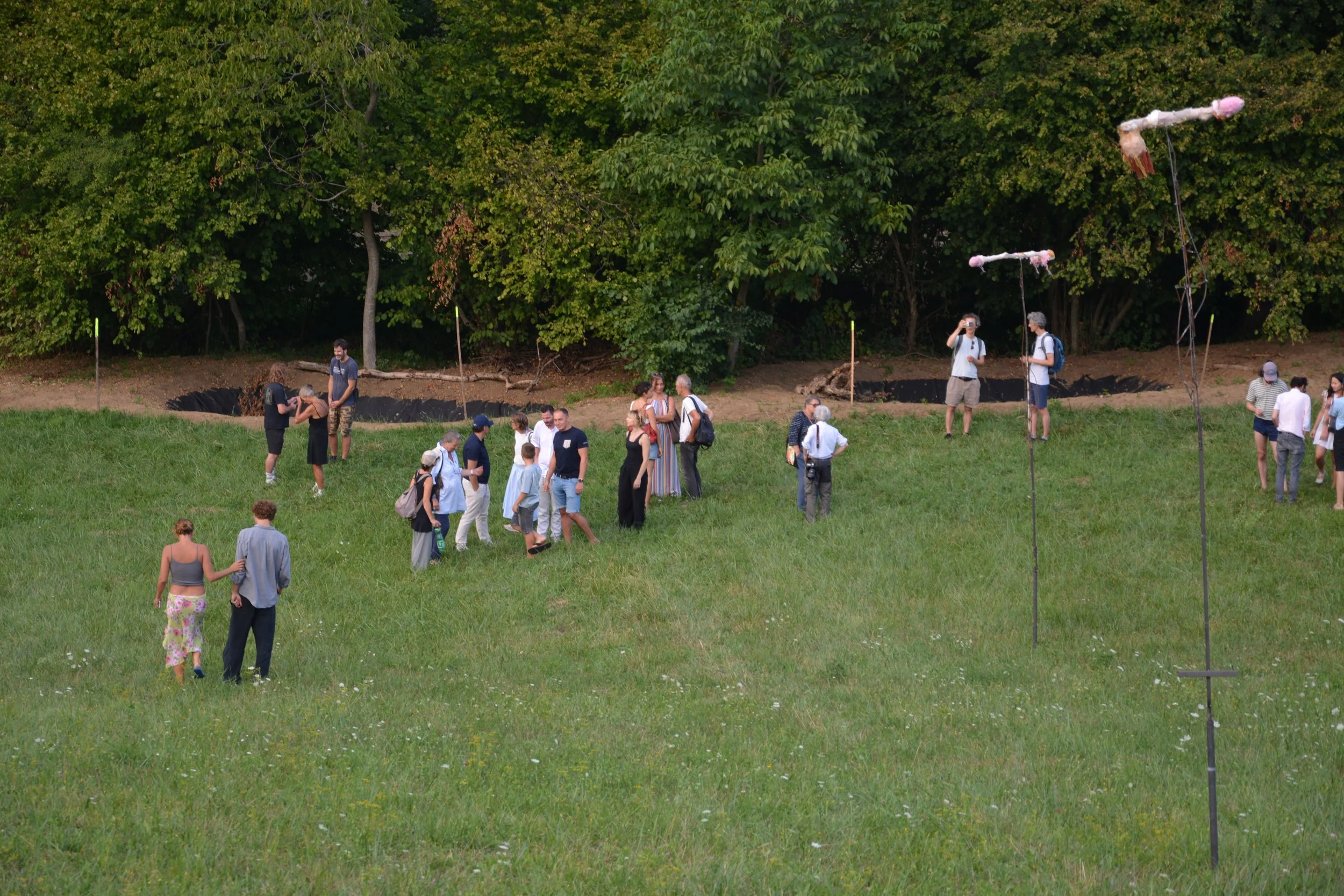 DSC_4544.JPG
