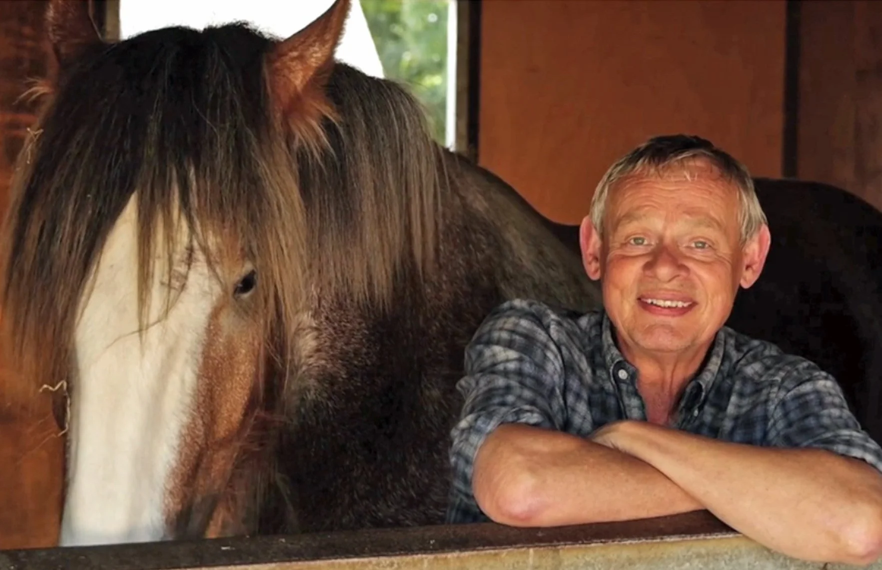 TV favourite ‘can’t wait’ for heavy horses judging as Royal Welsh gets under way