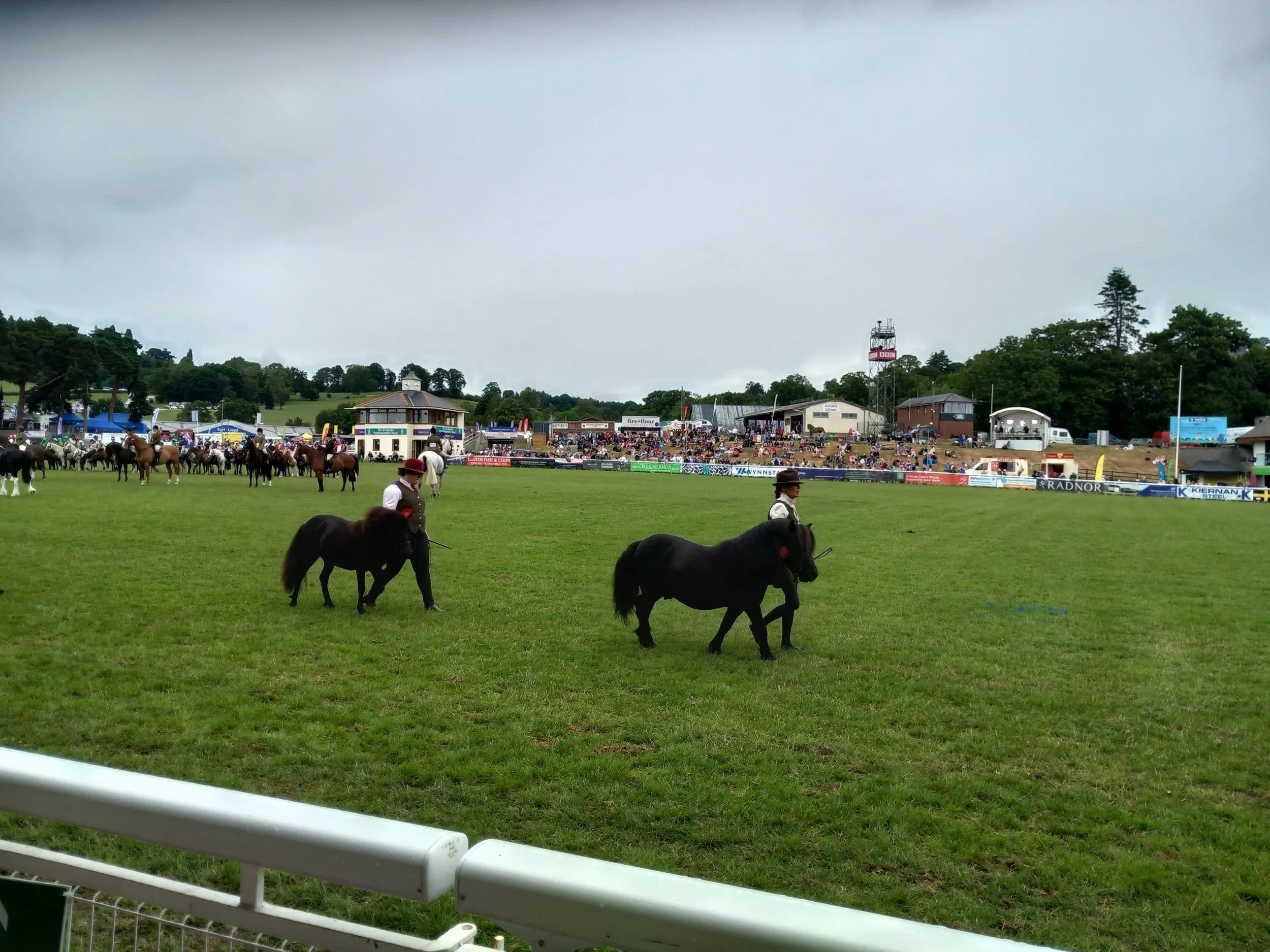 Full equine results: Royal Welsh Show 2025