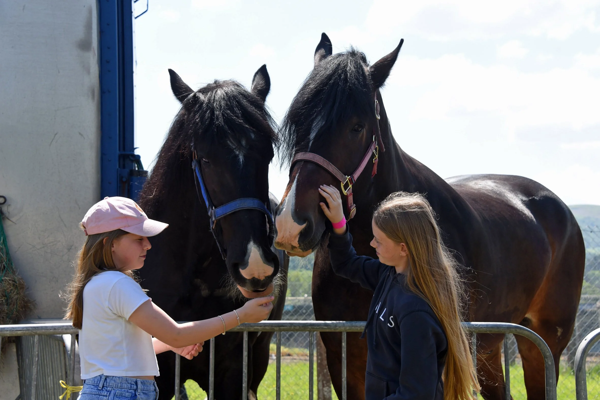 Horses big and small in new feature for Winter Fair