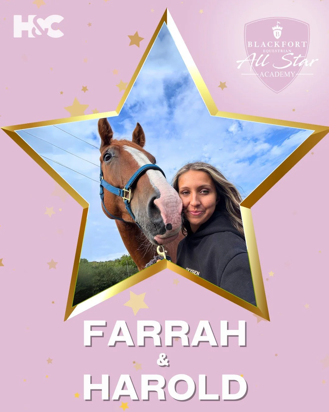 North Wales rider bidding to be a star on equestrian reality show