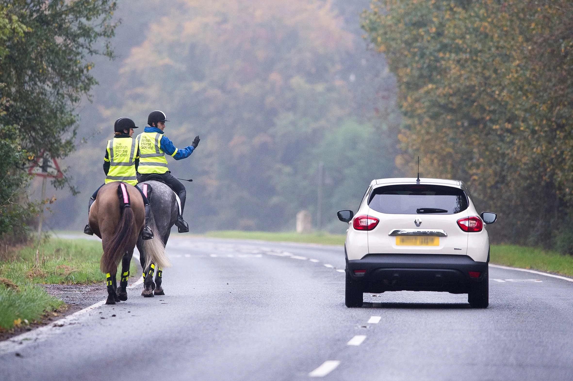 Highway Code awareness for horses takes centre stage at Royal Welsh Show