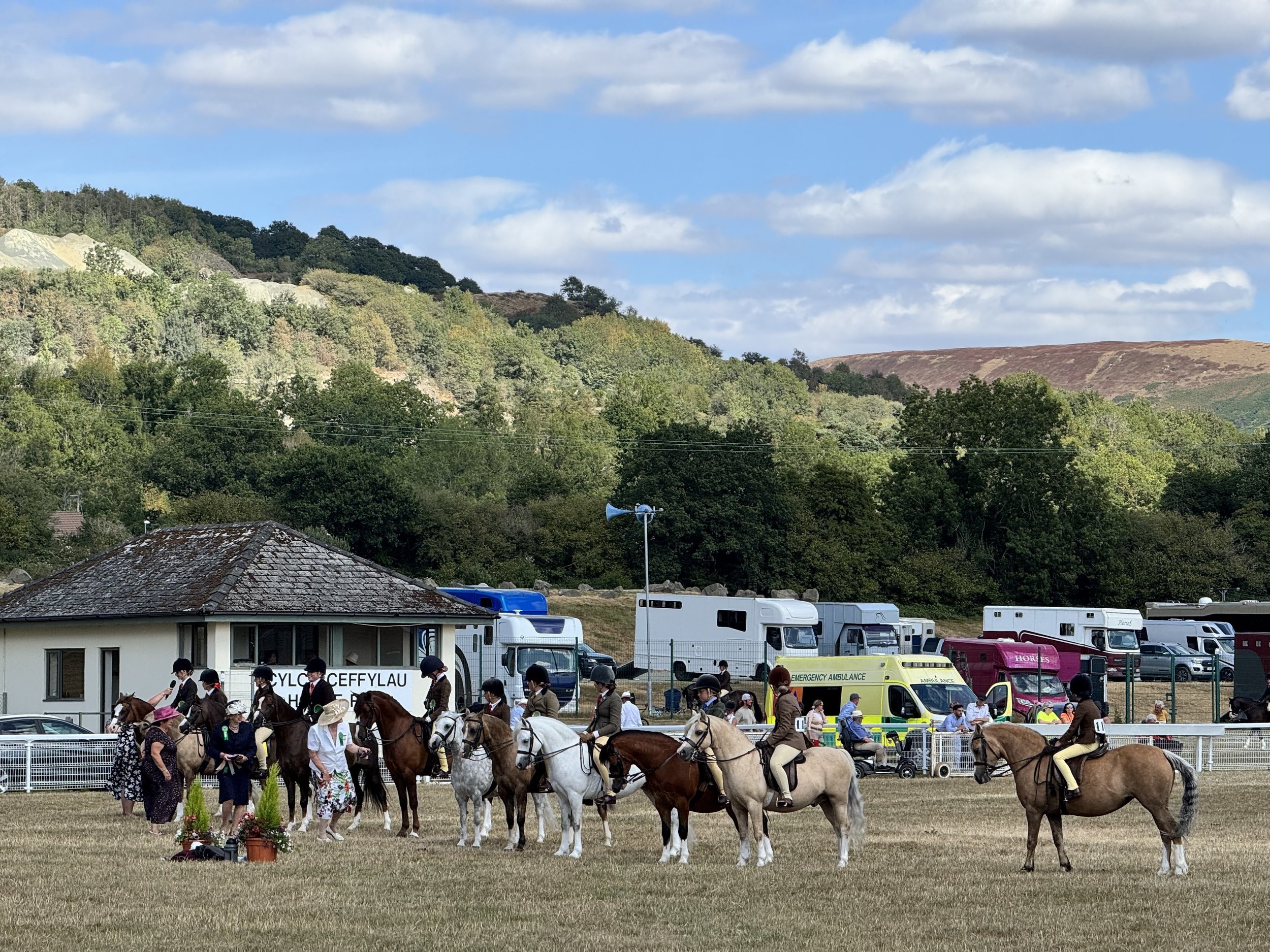 Welsh Pony &amp; Cob Society's 125th anniversary celebrations