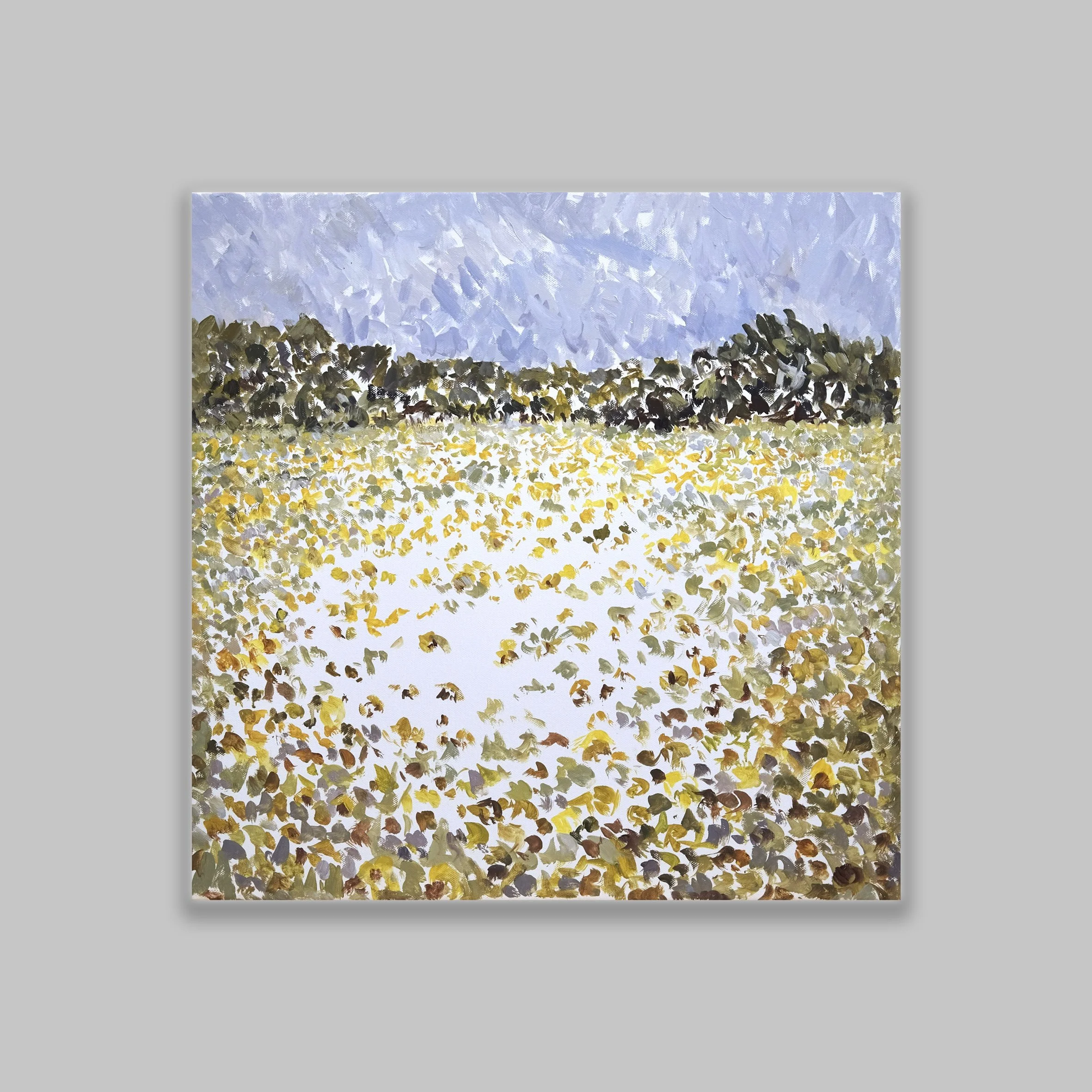 GB O Sunflower Field.jpg