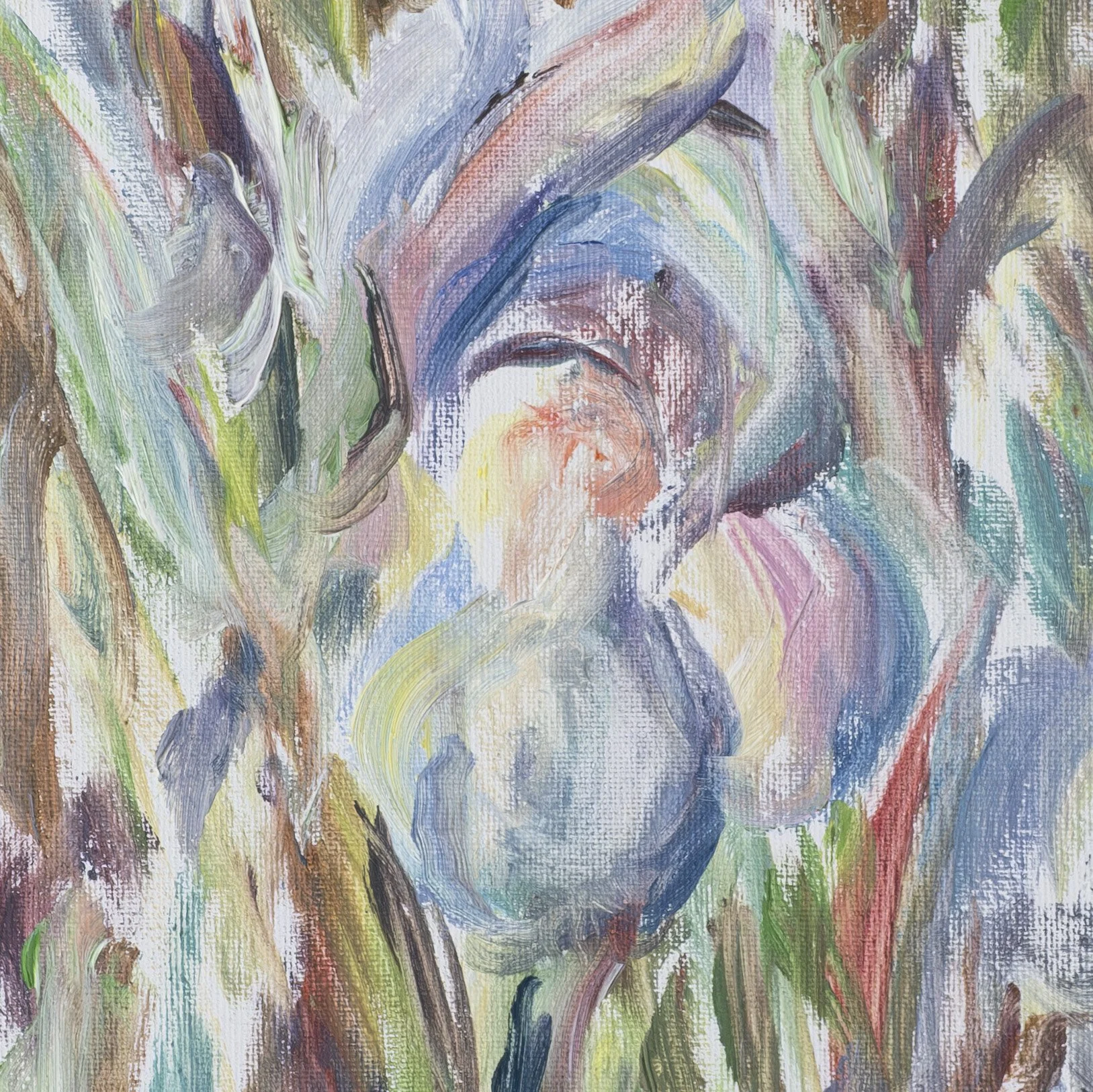 Detail Irises vertical 2025 JS.jpg