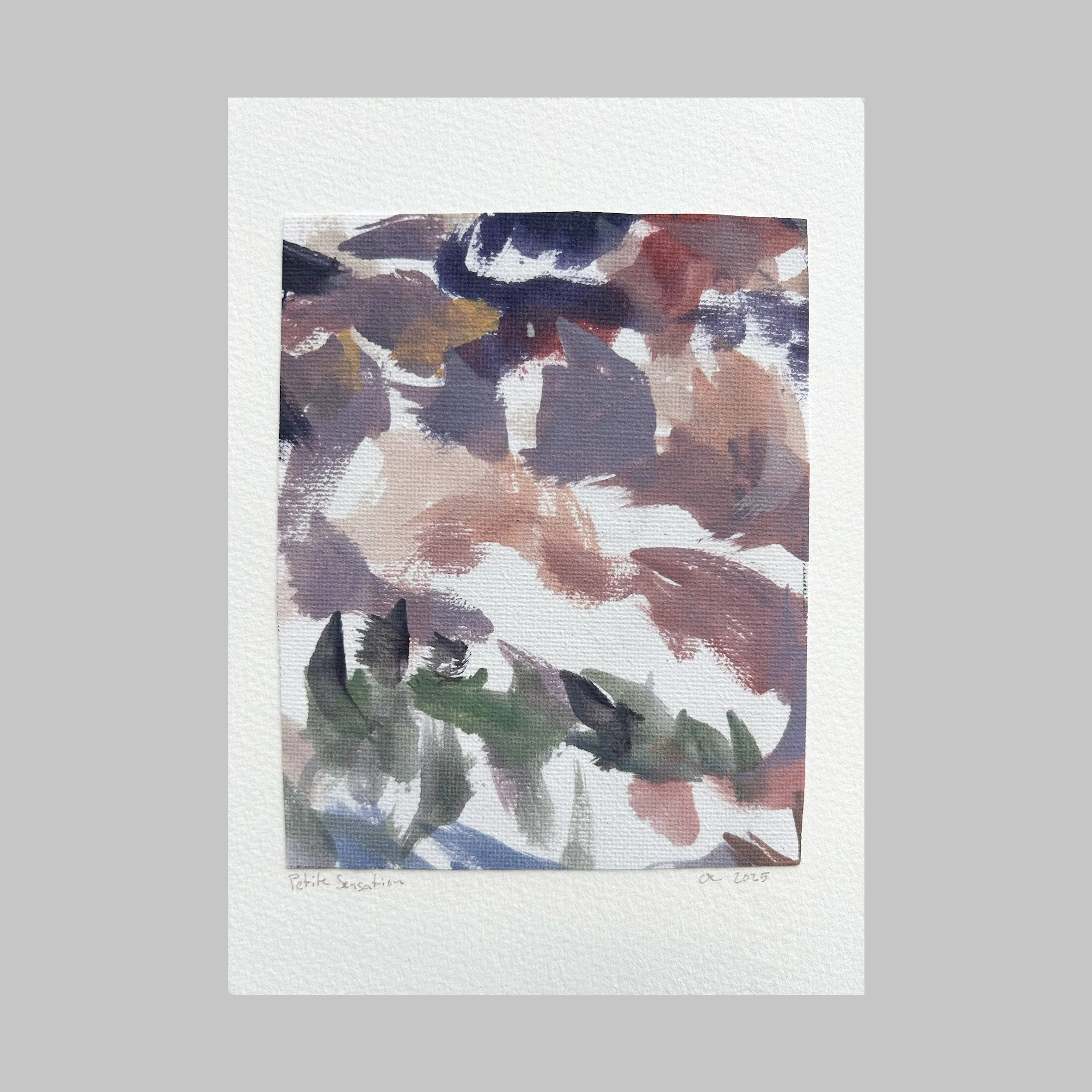 Petites sensation O'Neill Cushman 14.jpg