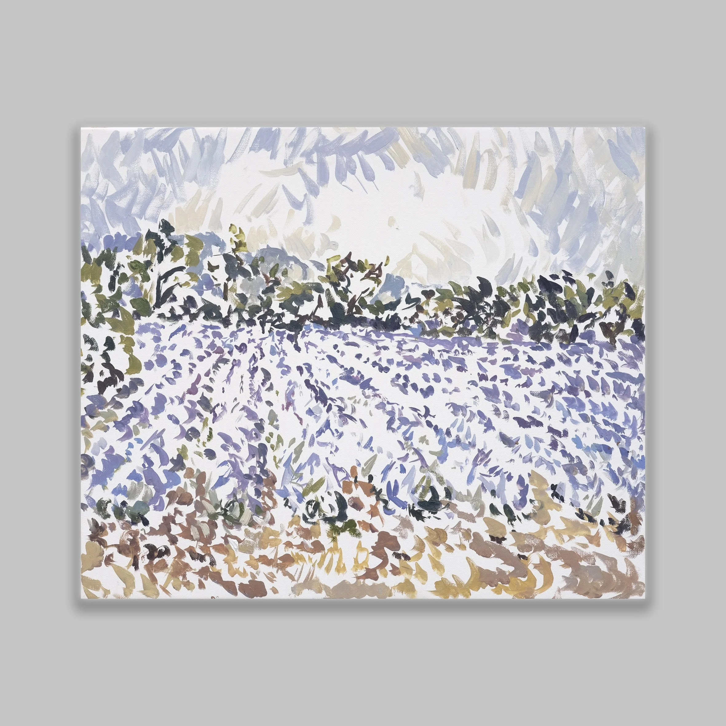 GB O Lavender Field.jpg