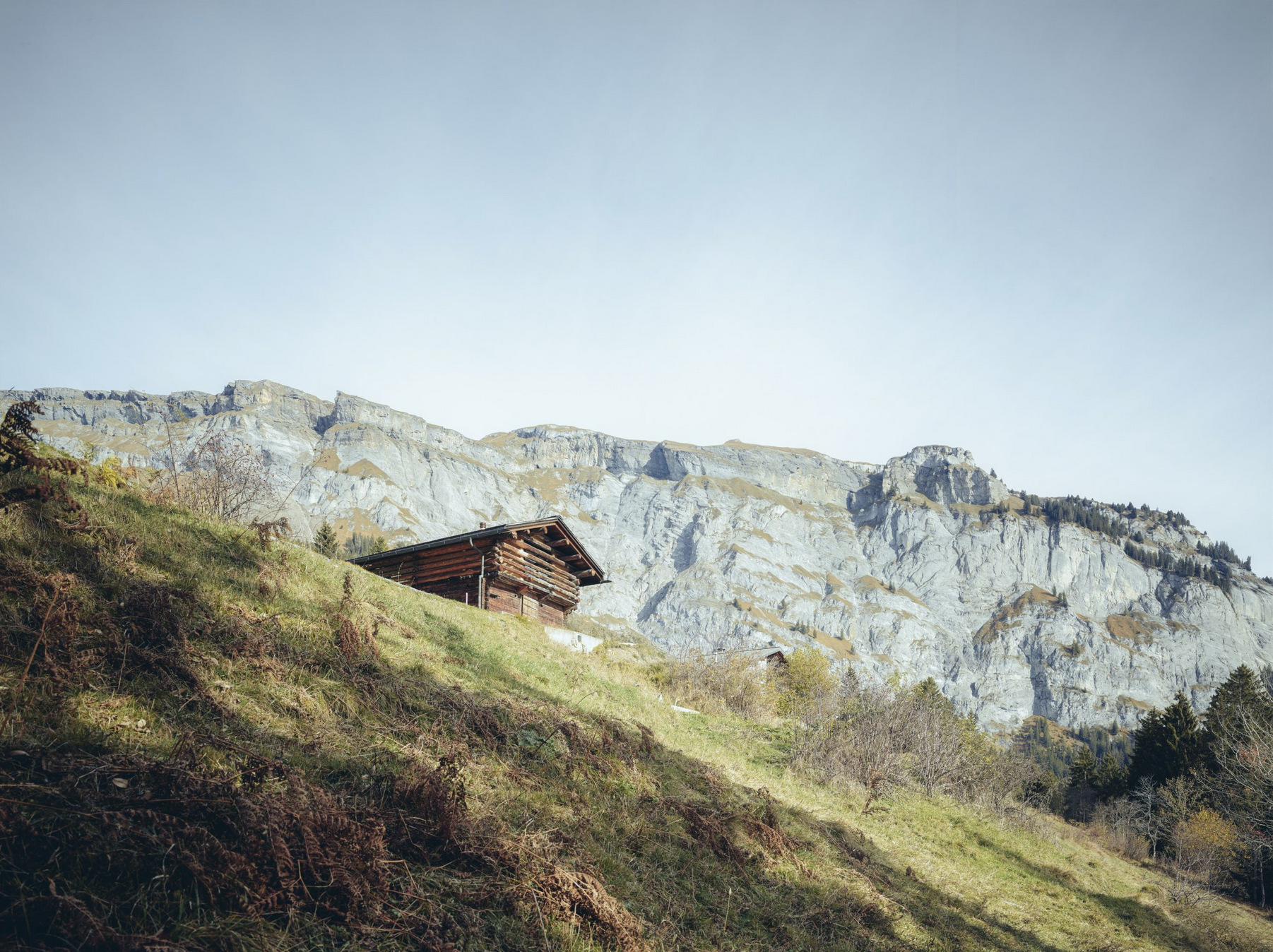 Bildschirmfoto 2025-11-27 um 15.19.07.png