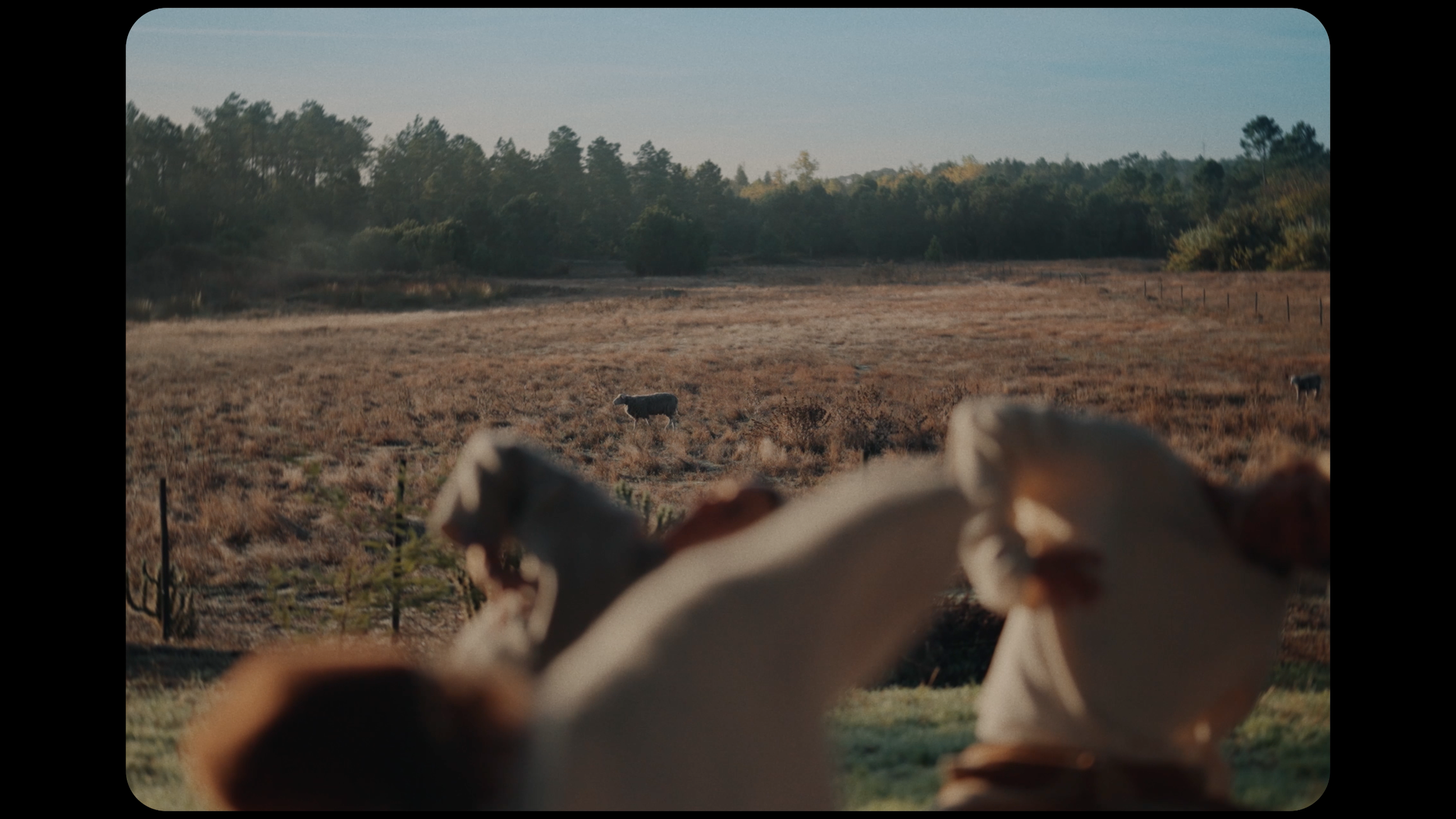 20251129_20251129__keurXPortugal_Bilder_01Bildschirmfoto 2026-01-21 um 11.10.30.png